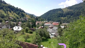 Albac - Albac 517005