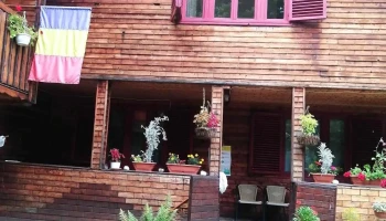 Alunis Guesthouse - Sucevița 727510