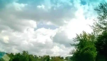 Borod - Borod