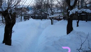 Brodoc - Vaslui