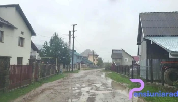 Bucșoaia - Bucșoaia