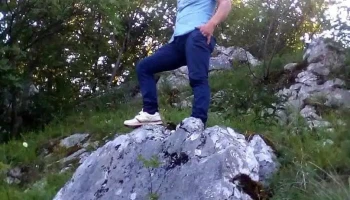 Băcia - Băcia