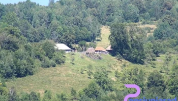 Bătrâna - Bătrâna