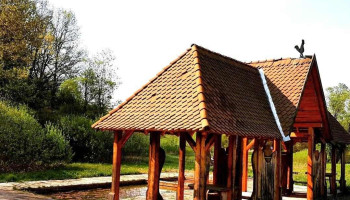 Bățanii Mici - Bățanii Mici