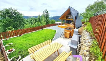 Cabana dintre mesteceni - Horea 517340