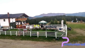 Cabana Gigi Ursu / Hotel - România