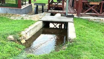 Cabana Hanul Morii: natura, piscina, sauna, jacuzzi - Route 60 - Ciucea