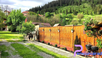 Cabana Lostrita - Stânceni