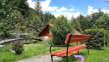 Camping Sălard - Sălard