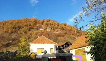 Cârjiți - Cârjiți