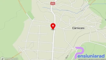 Cârniceni - Cârniceni