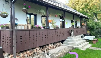 Casa Bunicilor - Ciprian Porumbescu