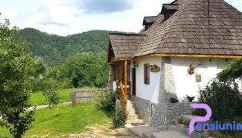 Casa Bunicului - Baia De Fier