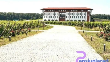 Casa Vlasia - Comuna Snagov