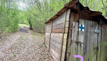 cazare Boga - Padiș - Strada Principală
