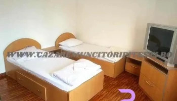 Cazare Muncitori Pitesti - Pitești 110151