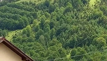 Cazare Petrosani - Pensiunea Bujor de Munte - Petroșani