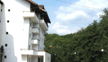 Clubul Bradetu - Gruiu