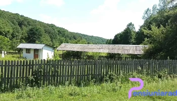 Cocu - Cocu