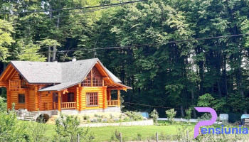 Comuna Dărmănești - Vacio