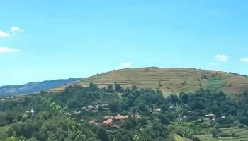 Comuna Ghelari - Romania