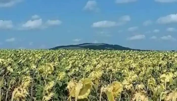 Comuna Grumăzești - Romania