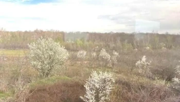 Comuna Grădinari - Romania