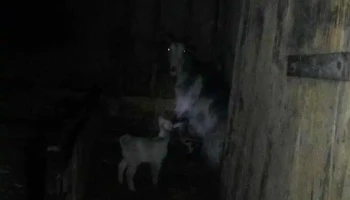 Comuna Traian - Romania