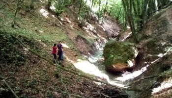 Comuna Uriu - Romania