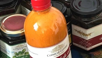 Conacul Goruni - Tomești