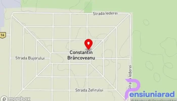 Constantin Brâncoveanu - Constantin Brâncoveanu