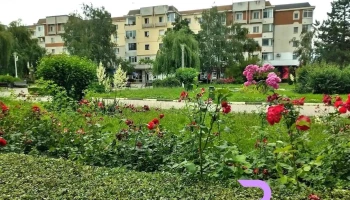 Costești - Costești
