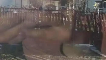 Coteneşti - Coteneşti