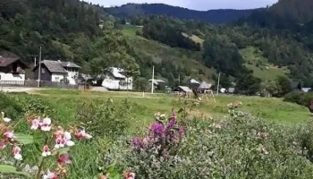 Crucea - Crucea
