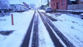 Curățele - Curățele
