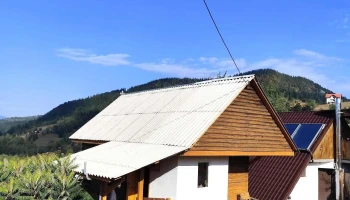 Căbănuța Anisia - Fața
