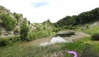 Căianu Mare - Căianu Mare