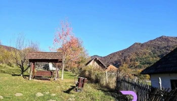 Căpățânenii Pământeni - Căpățânenii Pământeni