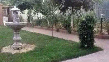 Căscioarele - Căscioarele