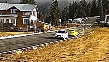 Căsuța din Poiană - Petrila 335800
