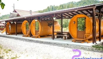 Căsuțele Vânătorului - Moneasa