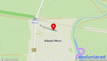 Cătălin Giciu - Albești-Muru