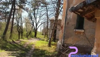 Deparați - Deparați