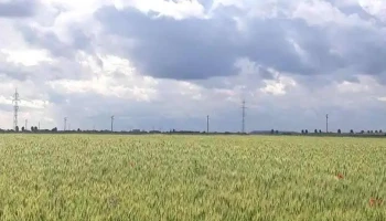 Dobreni - Dobreni