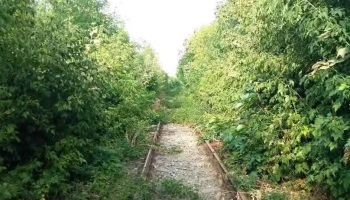 Dolina - Dolina