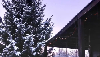 Ethereal Chalet - Valea Mare Pravăț