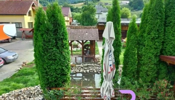Filonul de Aur - Abrud