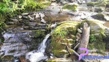Finiş - Finiş