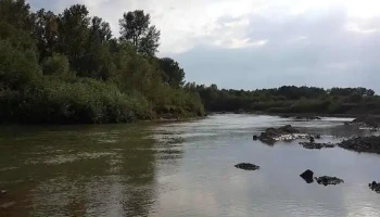 Finta Mare - Finta Mare