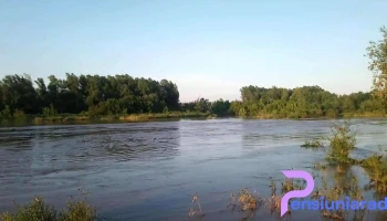 Frumușeni - Frumușeni